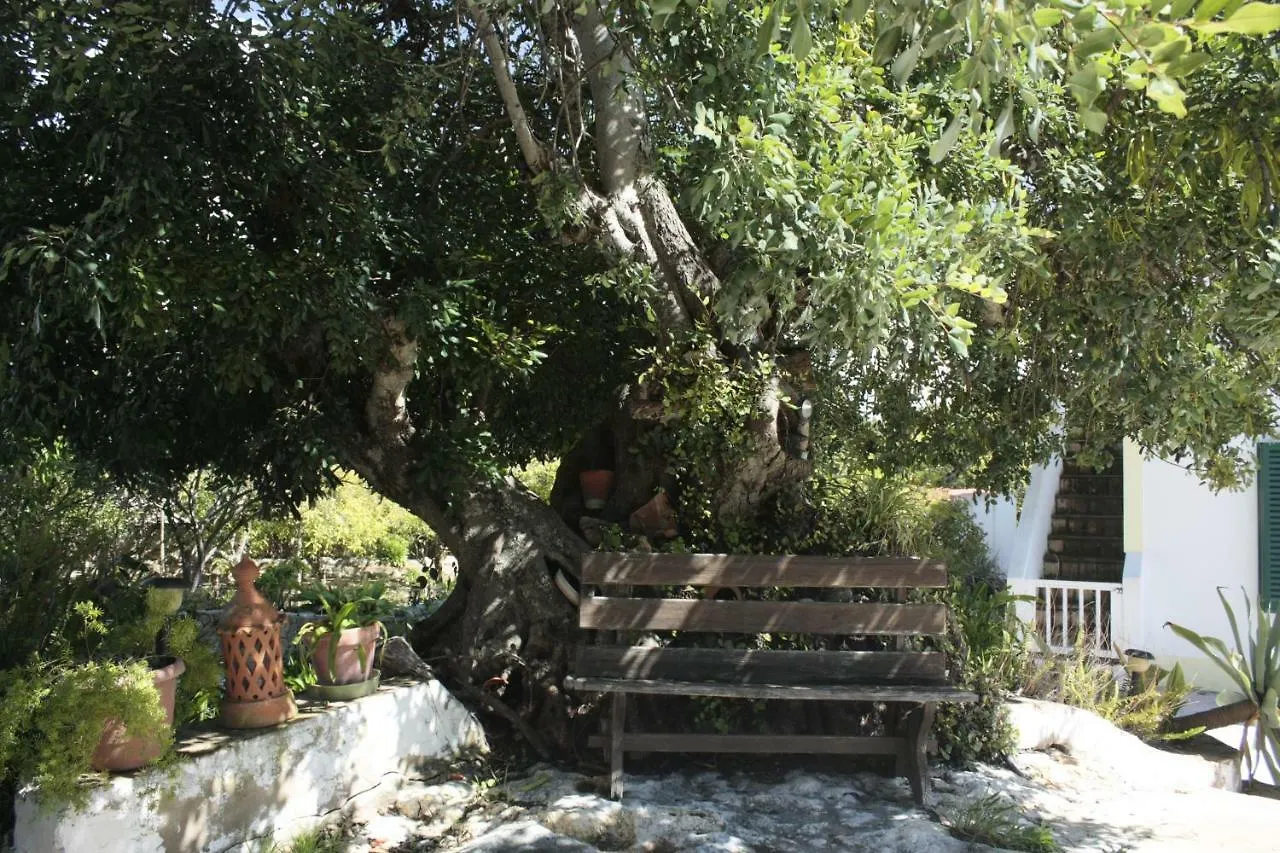 Casa Toni Villa Carvoeiro  Carvoeiro (Lagoa)